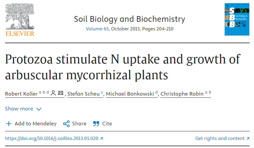 Protozoa stimulate N uptake and growth of arbuscular mycorrhizal plants