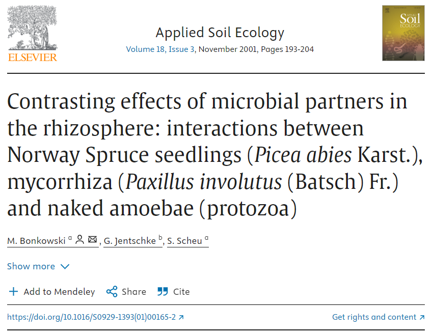 Contrasting effects of microbial partners in the rhizosphere: interactions between Norway Spruce seedlings (Picea abies Karst.), mycorrhiza (Paxillus involutus (Batsch) Fr.) and naked amoebae (protozoa)