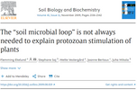 The “soil microbial loop” is not always needed to explain protozoan stimulation of plants