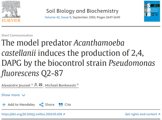 The model predator Acanthamoeba castellanii induces the production of 2,4, DAPG by the biocontrol strain Pseudomonas fluorescens Q2-87