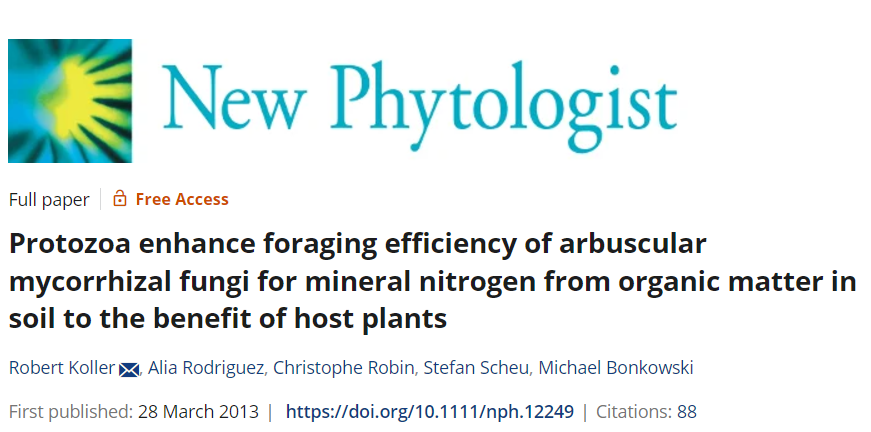 Protozoa enhance foraging efficiency of arbuscular mycorrhizal fungi for mineral nitrogen from organic matter in soil to the benefit of host plants