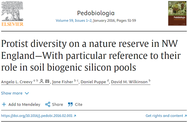 Protist diversity on a nature reserve in NW England—With particular reference to their role in soil biogenic silicon pools