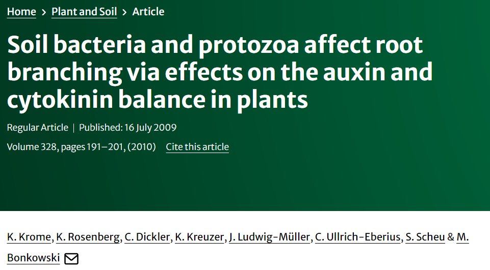 Soil bacteria and protozoa affect root branching via effects on the auxin and cytokinin balance in plants