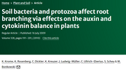 Soil bacteria and protozoa affect root branching via effects on the auxin and cytokinin balance in plants