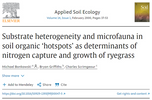 Substrate heterogeneity and microfauna in soil organic ‘hotspots’ as determinants of nitrogen capture and growth of ryegrass