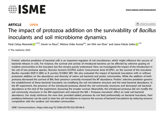 The impact of protozoa addition on the survivability of Bacillus inoculants and soil microbiome dynamics