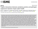 Trophic interactions between predatory protists and pathogen-suppressive bacteria impact plant health