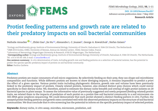 Protist feeding patterns and growth rate are related to their predatory impacts on soil bacterial communities