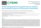 Protist feeding patterns and growth rate are related to their predatory impacts on soil bacterial communities