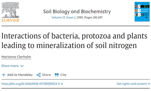 Interactions of bacteria, protozoa and plants leading to mineralization of soil nitrogen