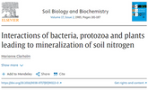 Interactions of bacteria, protozoa and plants leading to mineralization of soil nitrogen