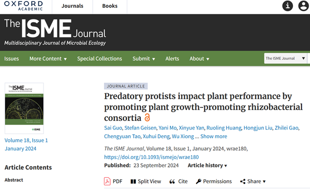 Predatory protists impact plant performance by promoting plant growth-promoting rhizobacterial consortia