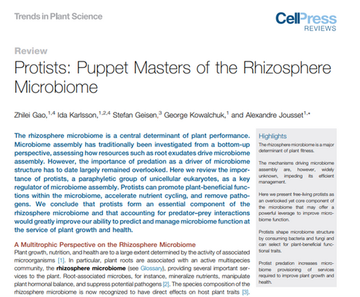 Protists: Puppet Masters of the Rhizosphere Microbiome